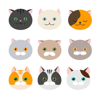 Kedi. Düz kedi baş simgeler kümesi. Vektör çizim. Kitty, Evcil hayvan. Egzotik ve sıradan kediler.