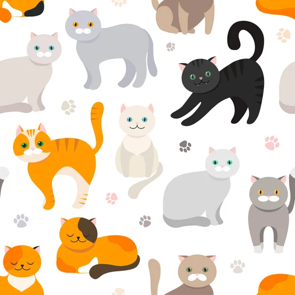 Fondo Gato Patrón Sin Costuras Ilustración Plana Vectorial Kitty Mascotas — Vector de stock