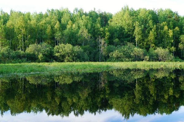 Nature Summer Green Trees Sky Clouds Reflected Water Natural Background — Stock Photo, Image