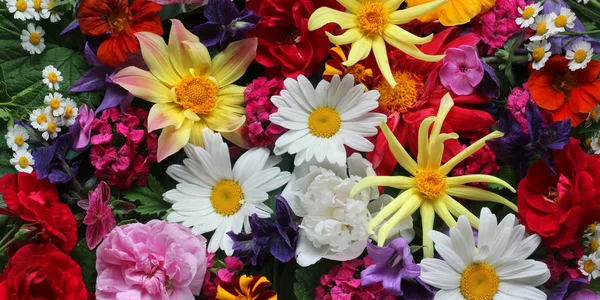 Hermoso Fondo Floral Vista Superior Textura Las Diferentes Flores Postal — Foto de Stock