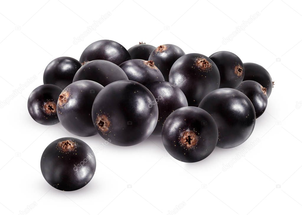 Black currant isolated on white background. Bunch of ripe berries.