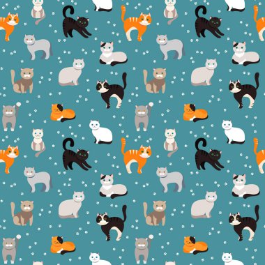 Kedi arka plan, seamless modeli. Vektör düz çizim. Kitty, Evcil hayvan. Egzotik ve sıradan cats. Çizgi film.