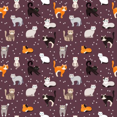Kedi arka plan, seamless modeli. Vektör düz çizim. Kitty, Evcil hayvan. Egzotik ve sıradan cats. Çizgi film.