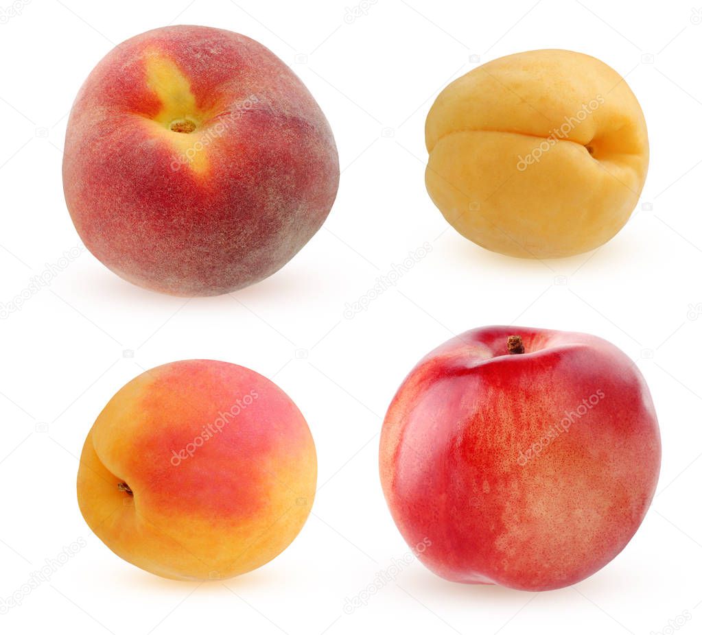 peach, apricot and nectarine isolated on white background. collection of single whole fruits.