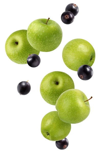 Manzanas Verdes Caídas Voladoras Grosella Negra Aisladas Sobre Fondo Blanco —  Fotos de Stock