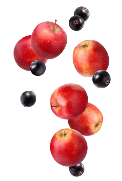 Caída Manzanas Rojas Grosellas Negras Aisladas Sobre Fondo Blanco Fruto —  Fotos de Stock
