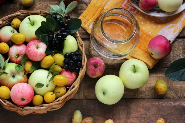 村庭ベリー、フルーツ: リンゴ、プラム、ナナカマド、トップを争う — ストック写真