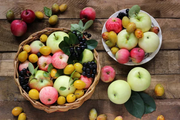 Dorfgarten Beeren und Früchte: Äpfel verschiedener Sorten — Stockfoto