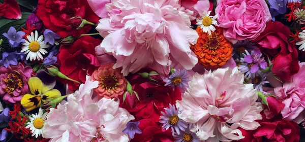 Floral έμβλημα με παιώνιες και τριαντάφυλλα. υφή των διαφορετικών garde — Φωτογραφία Αρχείου