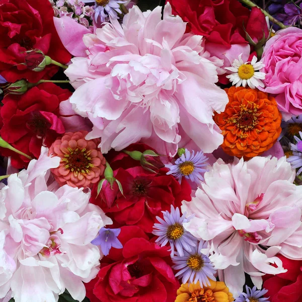 floral backdrop with garden peonies and roses, top view. postcar