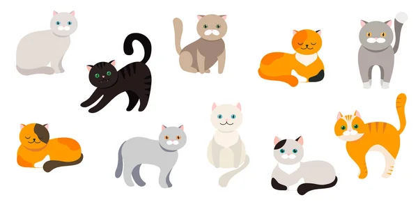 ¡Cat! Conjunto de iconos planos de dibujos animados. Vector . — Vector de stock