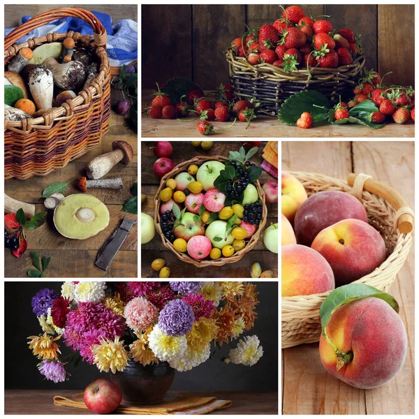 Collage von Bildern mit Beeren, Früchten und Pilzen. — Stockfoto