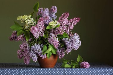 bahçe leylak bir buket ile natürmort.