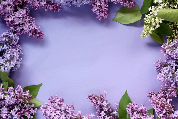 Fundo roxo com lilás. Primavera floral pano de fundo, vista superior . — Fotografia de Stock