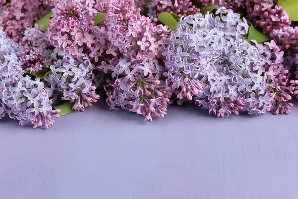 Fondo morado con lilas, enfoque selectivo. primavera floral bac —  Fotos de Stock