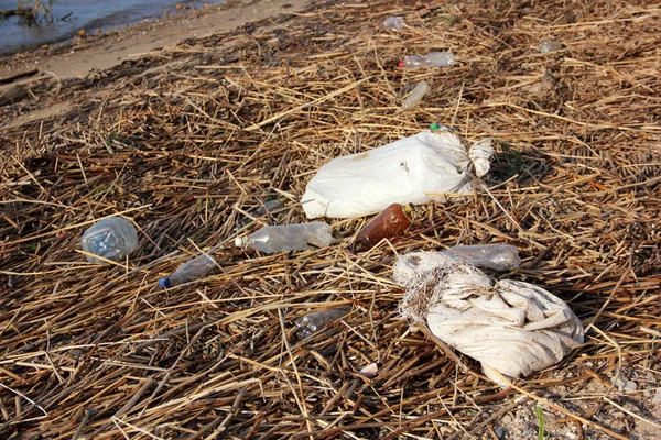 Botellas de plástico, bolsas y basura están tirados en la orilla. Residuos , —  Fotos de Stock