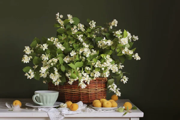 Ramas de jazmín en flor en la cesta y albaricoques —  Fotos de Stock