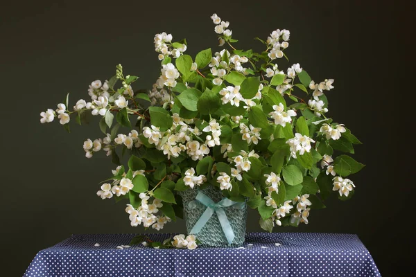 Ramas de jazmín con flores blancas en una cesta decorativa —  Fotos de Stock