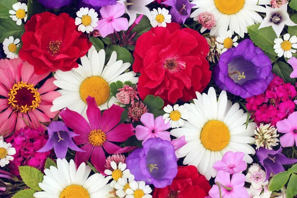 Λουλούδια κήπου, κορυφή θέα. μπουκέτο μαργαρίτες, τριαντάφυλλα, Φλοξ και ο — Φωτογραφία Αρχείου