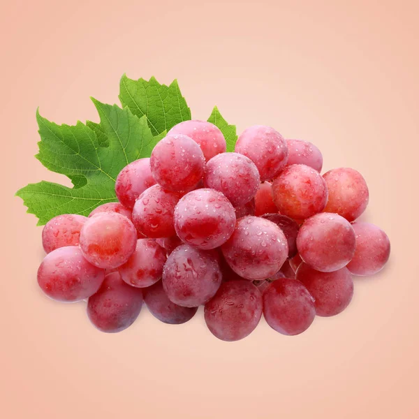 Red grapes on pink background — Stock Photo, Image