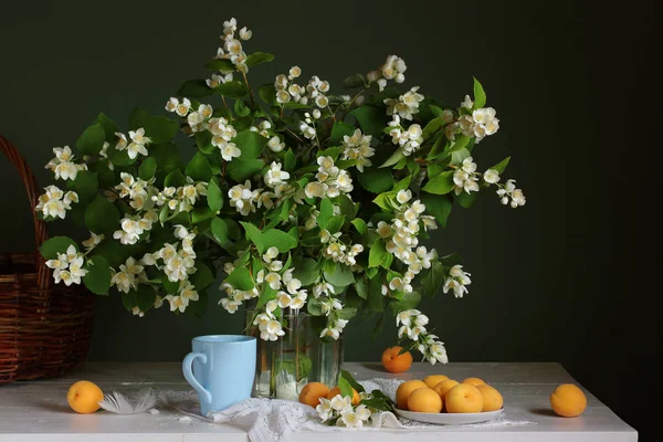Bukett av blommande grenar av jasmin och aprikoser. — Stockfoto