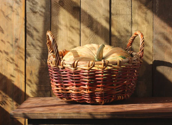 Orange pumpkin in a basket on the table. — Stock Photo, Image