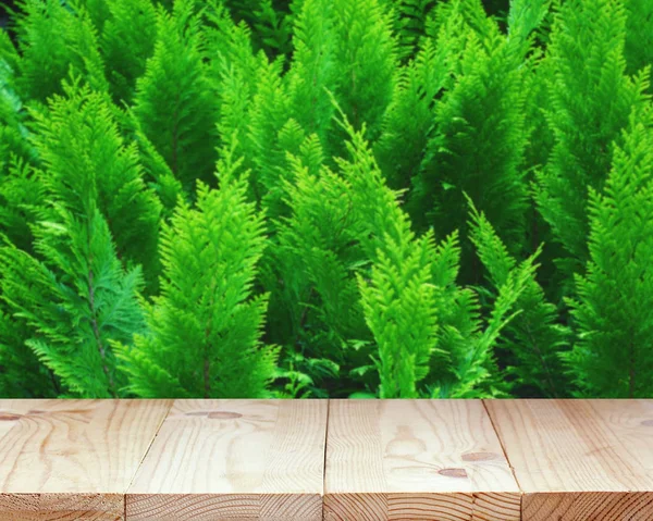 Mesa de madera vacía sobre un fondo natural verde borroso —  Fotos de Stock