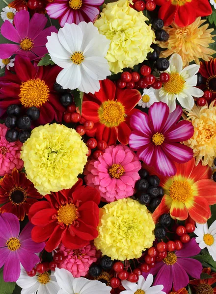 Fondo floral brillante con flores de jardín y bayas . — Foto de Stock