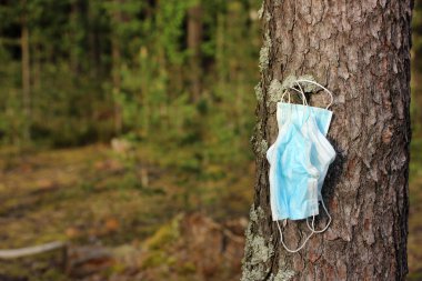 Tıbbi maskeler ormanda bir ağaca asılır. Çöp, doğa ve çevre kirliliği.