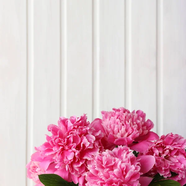 一束粉红色的花园牡丹在浅色的背景下特写 案文的篇幅 — 图库照片