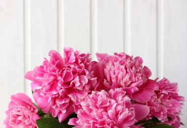 Işık panosu arka planında pembe şakayık demeti, seçici odaklanma. Bahçe çiçekleri Boşluğu kopyala.