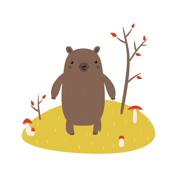 Καφέ Αρκούδα Ένας Χαρακτήρας Καρτούν Διανυσματική Επίπεδη Απεικόνιση Αρκούδα Φθινόπωρο — Διανυσματικό Αρχείο