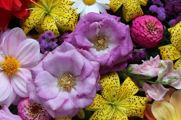 Fundo Floral Com Lírios Amarelos Rosas Roxas Flores Jardim Vista — Fotografia de Stock