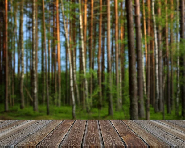 Pavimenti Vuoti Legno Sfondo Foresta Sfocata Sfondo Naturale Sfondo Texture — Foto Stock
