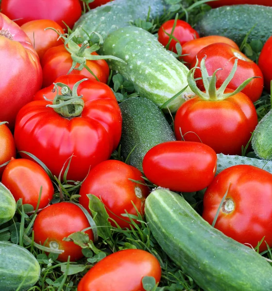 Tomater Och Gurkor Gräset Ovanifrån Ett Gäng Grönsaker — Stockfoto