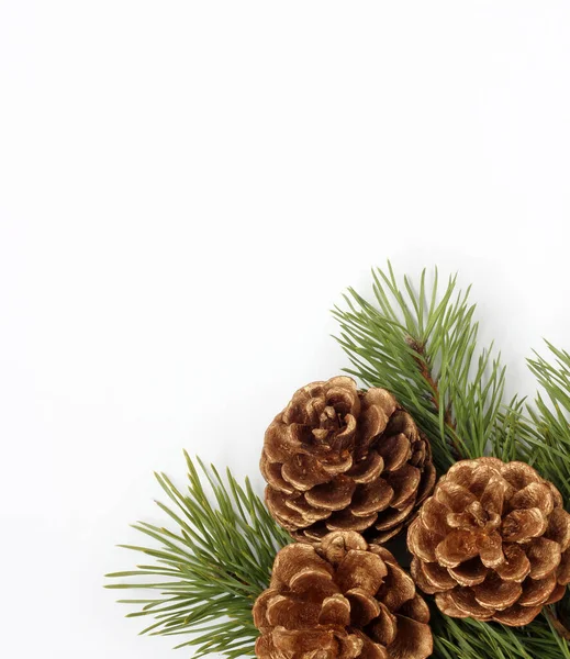 Festive Composition Christmas Background Pine Branches Three Golden Cones White — Stock Photo, Image