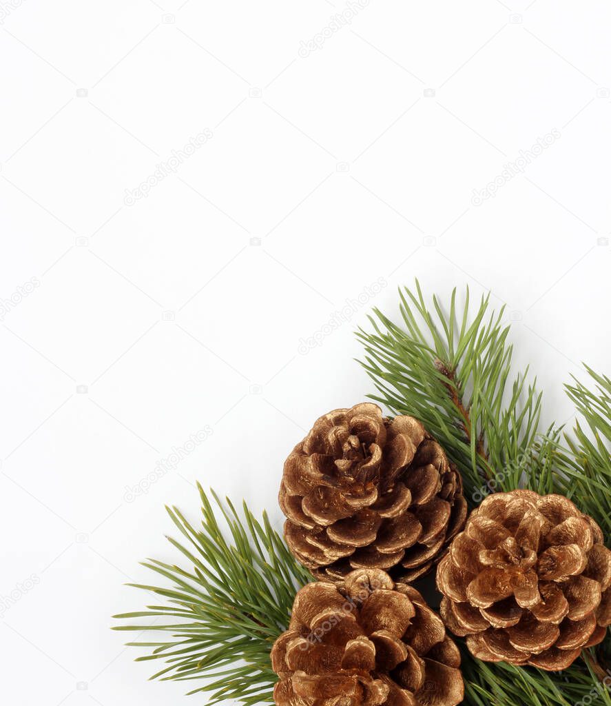 festive composition, Christmas background. pine branches and three Golden cones on white. flat lay, top view, copy space.