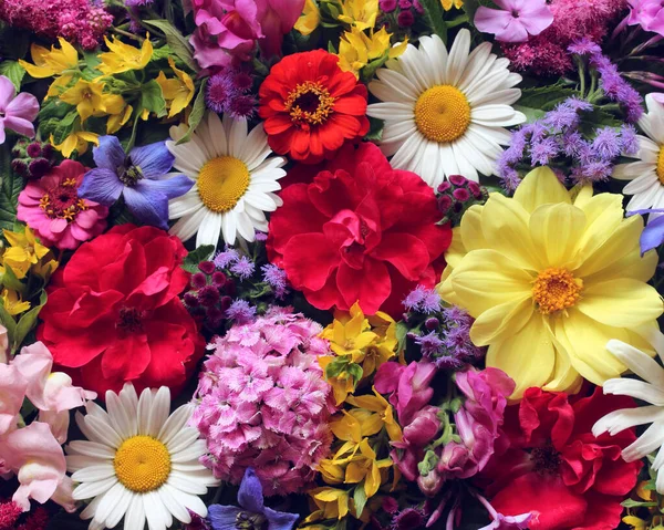 Krásné Květinové Pozadí Horní Pohled Kytice Zahradních Květin Růže Dahlie — Stock fotografie