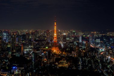 Japonya 'daki Tokyo Körfezi' nin renkli şehir manzarası.