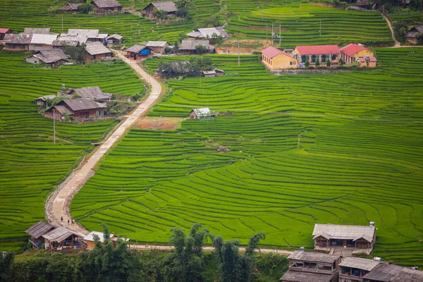 Verde Arroz Terraço Colina Montanha Localizada Sapa Vietnã — Fotografia de Stock