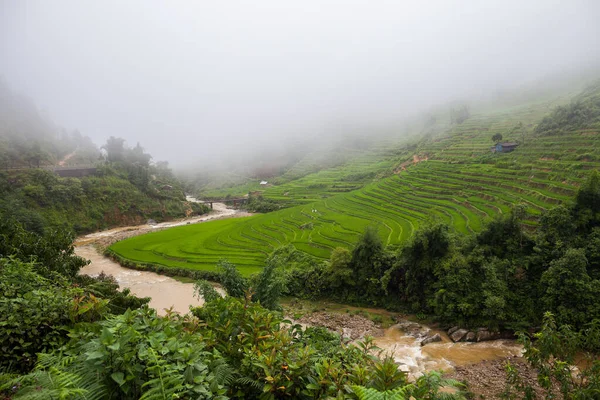 Verde Arroz Terraço Colina Montanha Localizada Sapa Vietnã — Fotografia de Stock