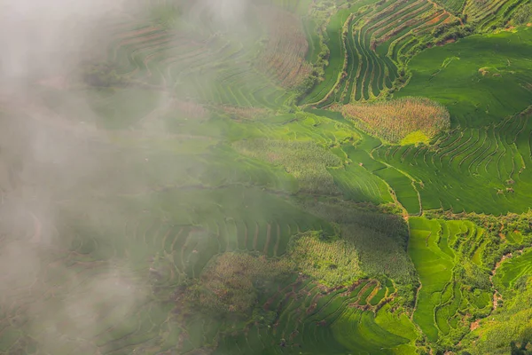 Groen Van Rijst Terras Heuvel Van Berg Gelegen Bij Sapa — Stockfoto