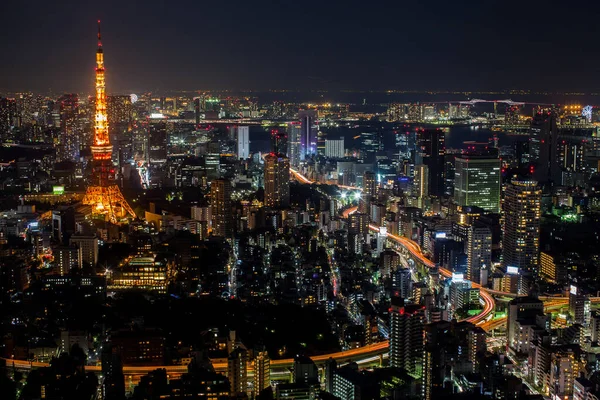 Färgstark Stadslandskap Utsikt Över Tokyo Bay Ligger Japan — Stockfoto