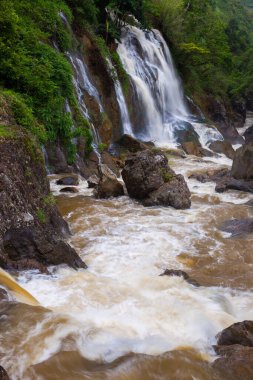 Taze suyun şelale manzarası Tropicana 'daki yeşil alana dikey bir düşüş üzerinden akar.