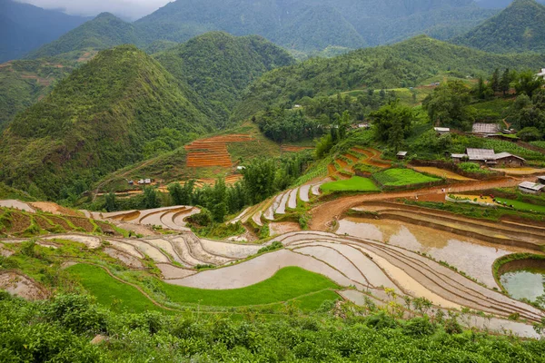 Verde Arroz Terraço Colina Montanha Localizada Sapa Vietnã — Fotografia de Stock