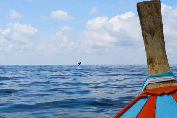 Bateau Queue Longue Tête Bois Face Mer Sous Ciel Dégagé — Photo