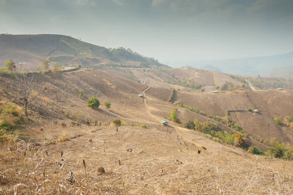 Mountain of dry land of agricultural at summer season in Tropicana country