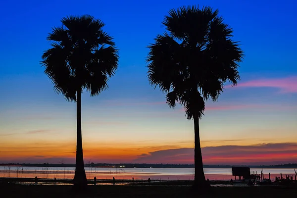 Een Silhouet Van Tweeling Palm Boom Met Achtergrond Prachtig Van — Stockfoto