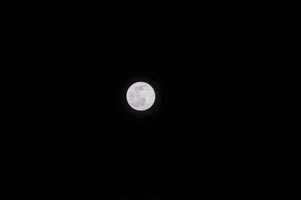 Moon Day Time Clear Blue Sky — Stock Photo, Image