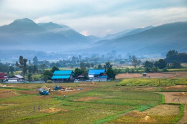 Tayland 'ın kuzeyinde gün doğumunda dağın önünde pirinç terası.